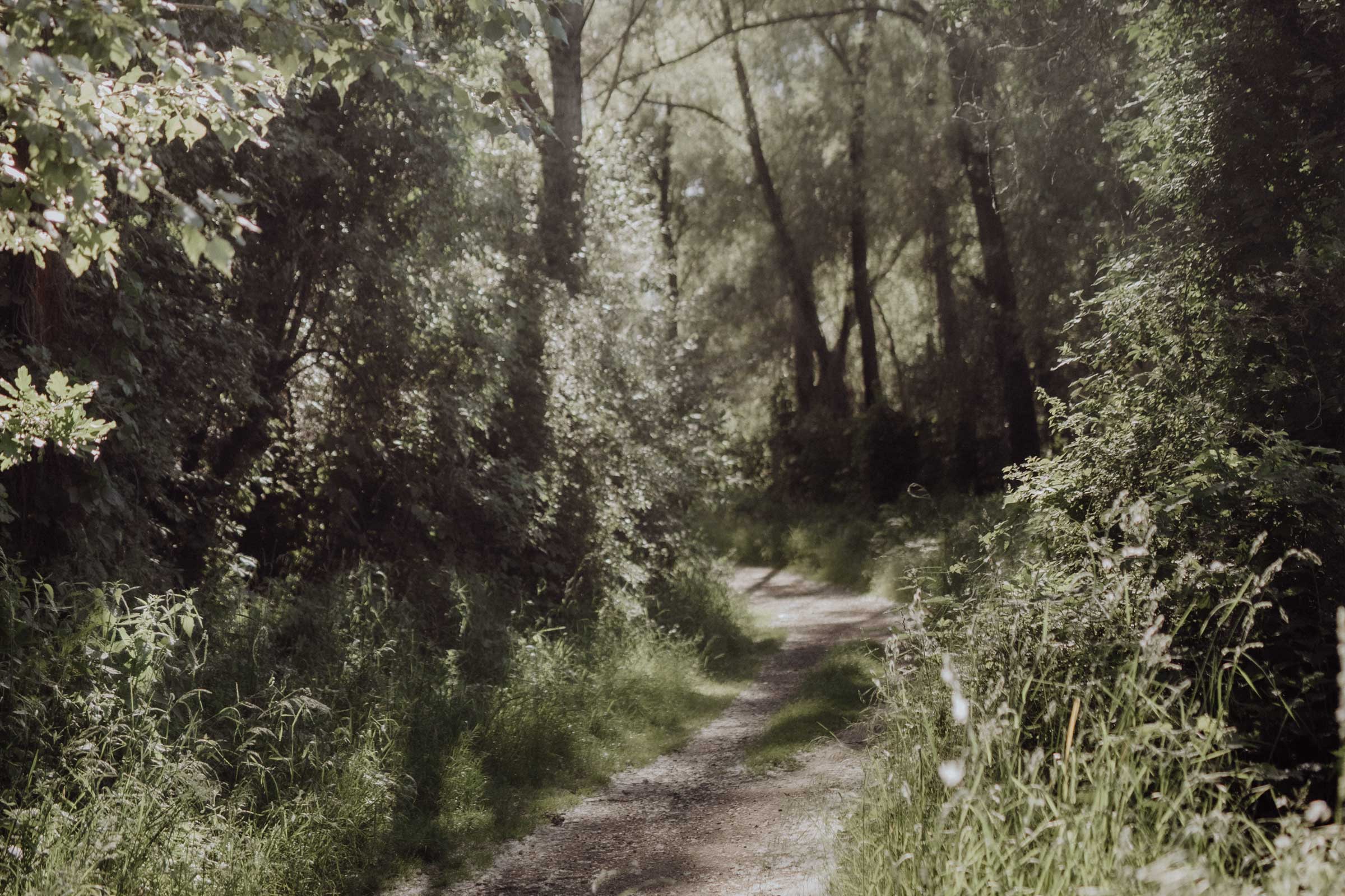 Walk and Talk – Beratung beim Gehen in der Natur